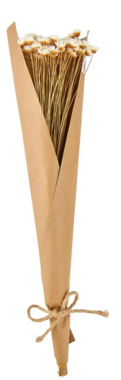 ACTINO Flores Secas Branco