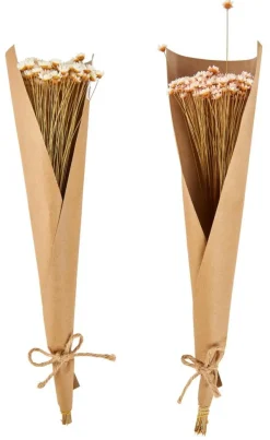 ACTINO Flores Secas Branco