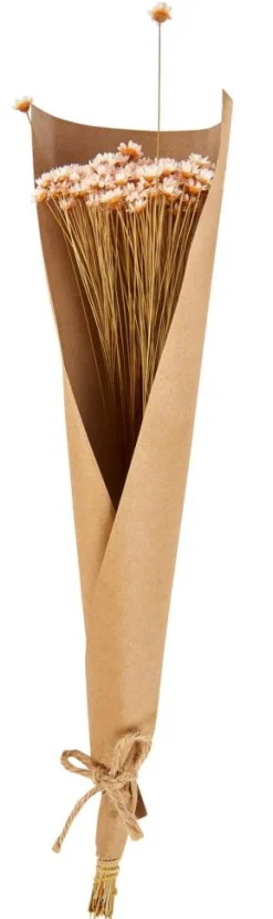 ACTINO Flores Secas Rosa