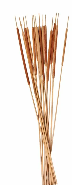 AFRIKA Jarra Natural