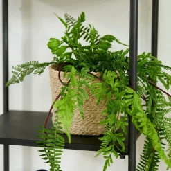 ATLANTIC Vaso Natural