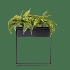 BALCO Caixa Para Plantas Preto