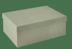 BIGSO Caixa De Arrumação M Menta