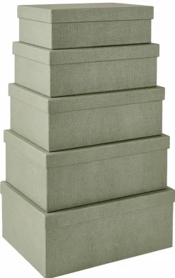 BIGSO Organizador Gaveta 5 Compartimento Menta