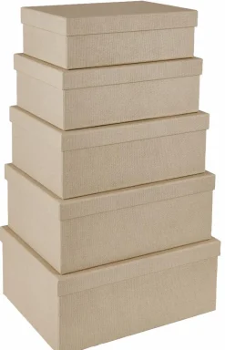 BIGSO Organizador Gaveta 5 Compartimento Menta