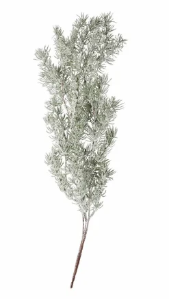 CEDER Ramo Decorativo Verde