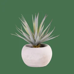 CEMENT Crássula Artificial Em Pote Cinzento