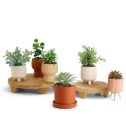 CERA Planta Artificial Diversas Cores