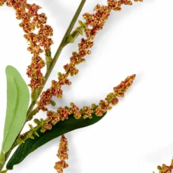 COLLAR Jarra Cor-de-laranja