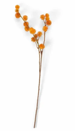 DANDIL Caule Cor-de-laranja