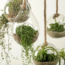 DROP Gota De Vidro Transparente