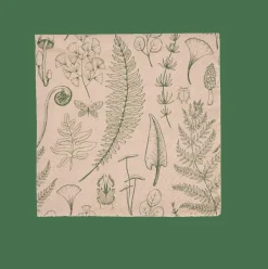 ECO NATURE Guardapos Conjunto De 20 Multicolor