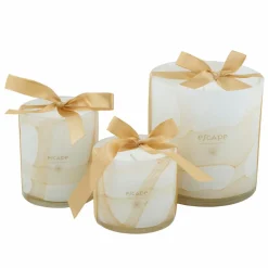 ESCAPE SENSES Vela Perfumada Em Copo Multicolor