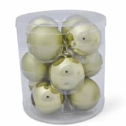 EUCALYPTUS Coroa Verde