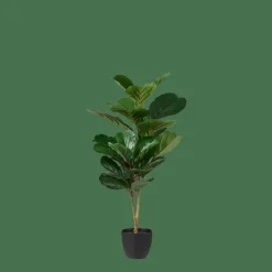FIGI Planta Artificial Preto, Verde Escuro
