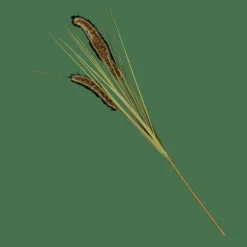 GRASS Cana Artificial Verde