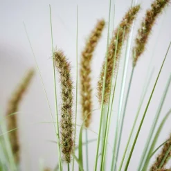 GRASS Feixe De Relva Vermelho