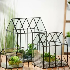 GREENHOUSE Estufa Transparente