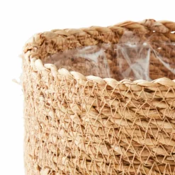 HERBA Relva Em Vaso Verde