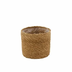 HERBA Relva Em Vaso Verde