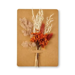 MIA Deco Seca Cor-de-laranja