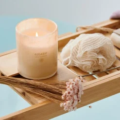 NATURAL LIFE Esponja De Massagem Natural