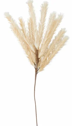 PAMPLONA Jarra Creme