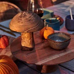 PAULO Cogumelo Castanho