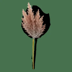 PLUME Caule Com Plumas Cor-de-laranja