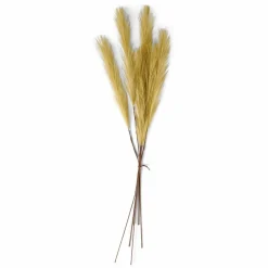 PLUME Plumas Decorativas Castanho Claro