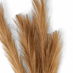 PLUME Plumas Decorativas Castanho Claro