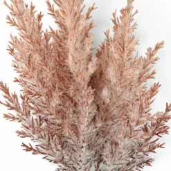 PLUME Plumas Decorativas Castanho Claro