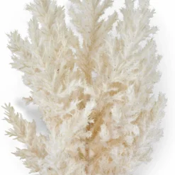 PLUME Plumas Decorativas Castanho Claro