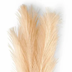 PLUME Plumas Decorativas Castanho Claro