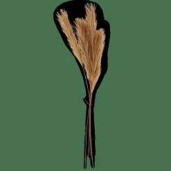 PLUME Plumas Decorativas Castanho