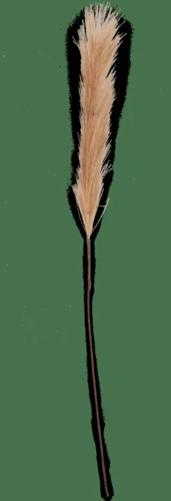 PLUME Plumas Decorativas Castanho