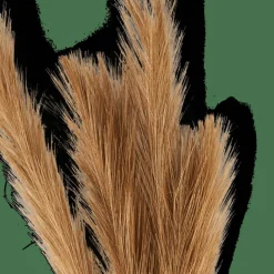 PLUME Plumas Decorativas Castanho