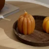 PUMPKIN Vela Castanho