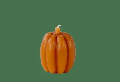 PUMPKIN Vela Castanho