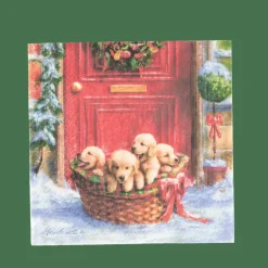 PUPPIES Guardapos Conjunto De 20 Multicolor