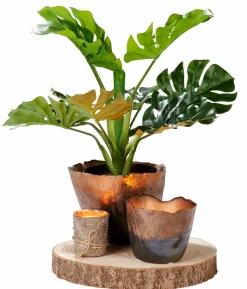 RUSTIC Vela Rib Menta