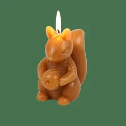 SQUIRREL Vela Esquilo Castanho
