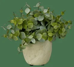TERRA Planta Em Vaso Branco, Verde