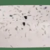 TERRAZZO Saboneteira Branco