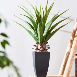 VERA Vetplant Op Stick Verde