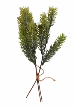 WILLOW Coroa Natural