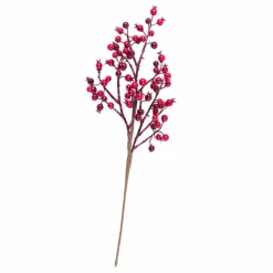 WILLOW Coroa Natural